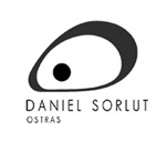 daniel_sorlut
